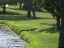 gator
